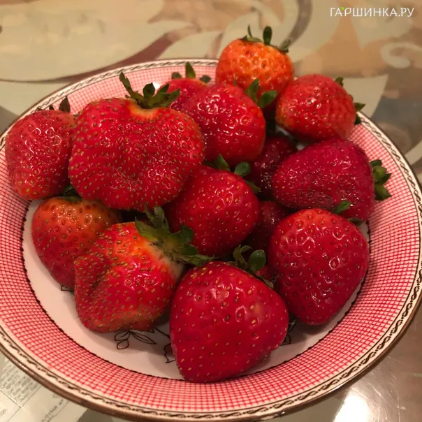 превью изображения отзыва