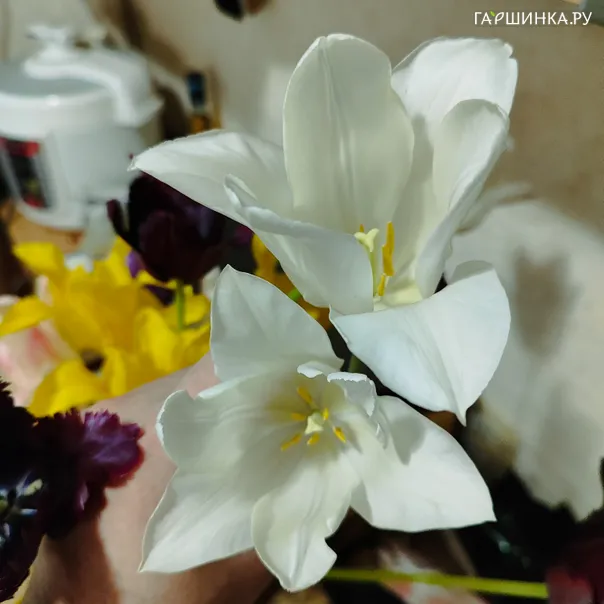 превью изображения отзыва
