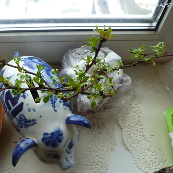 превью изображения отзыва