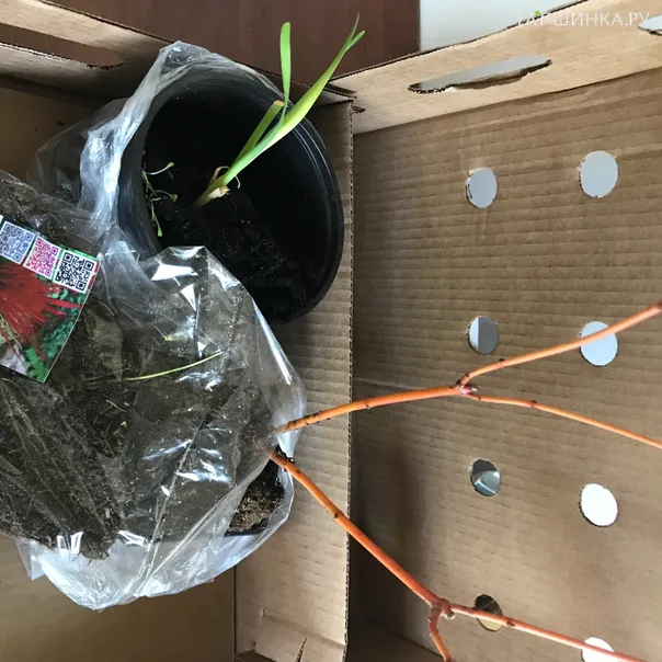 превью изображения отзыва