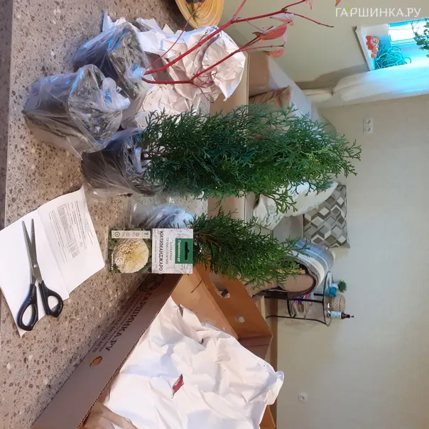 превью изображения отзыва