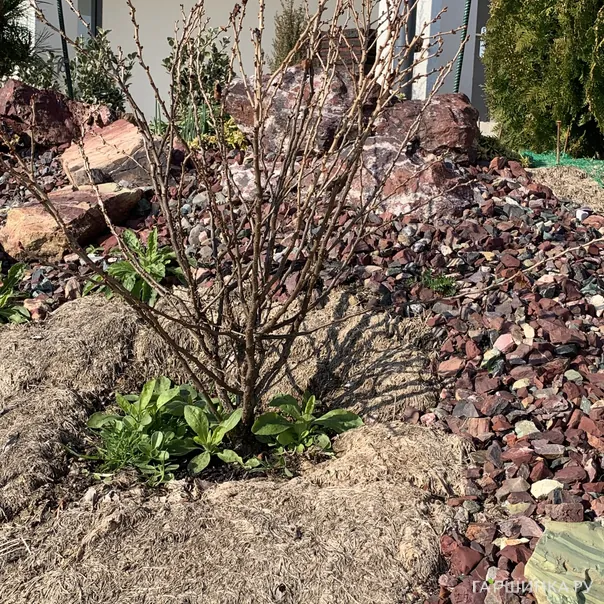 превью изображения отзыва