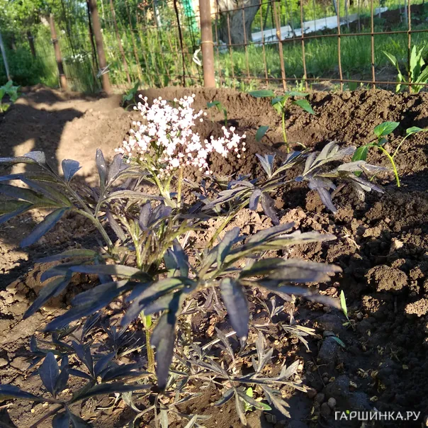 превью изображения отзыва