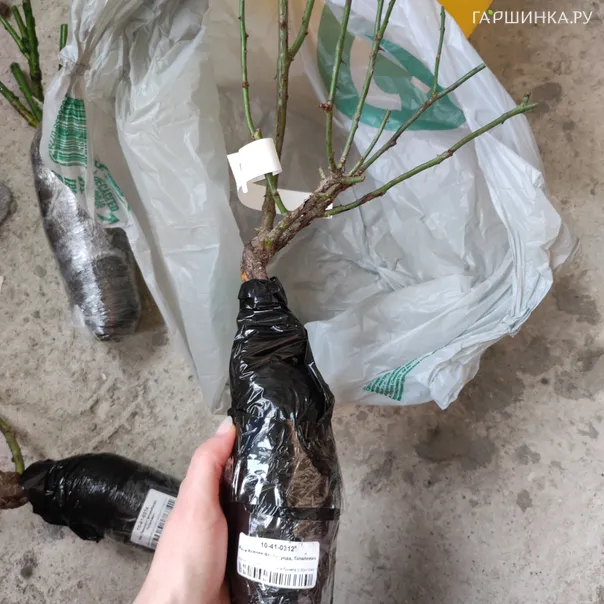 превью изображения отзыва