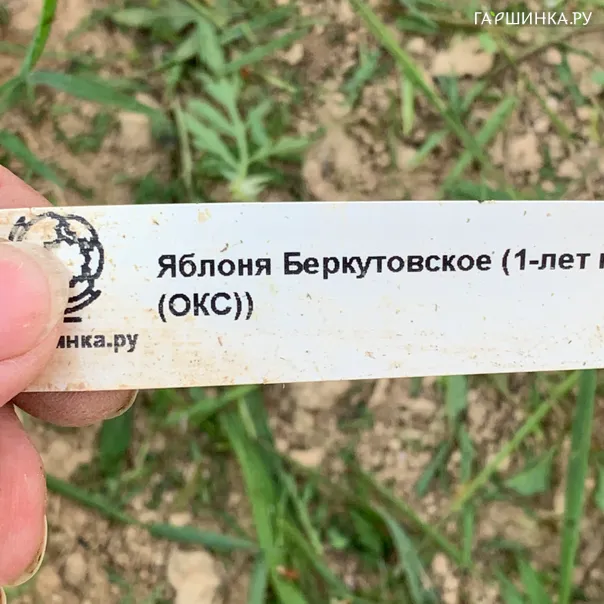 превью изображения отзыва