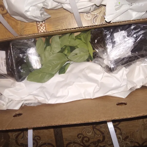 превью изображения отзыва