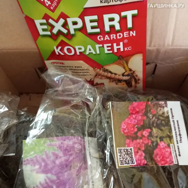 превью изображения отзыва