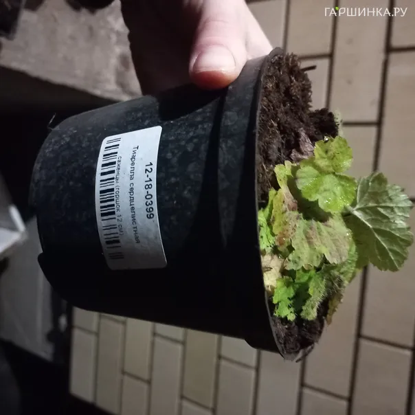 превью изображения отзыва