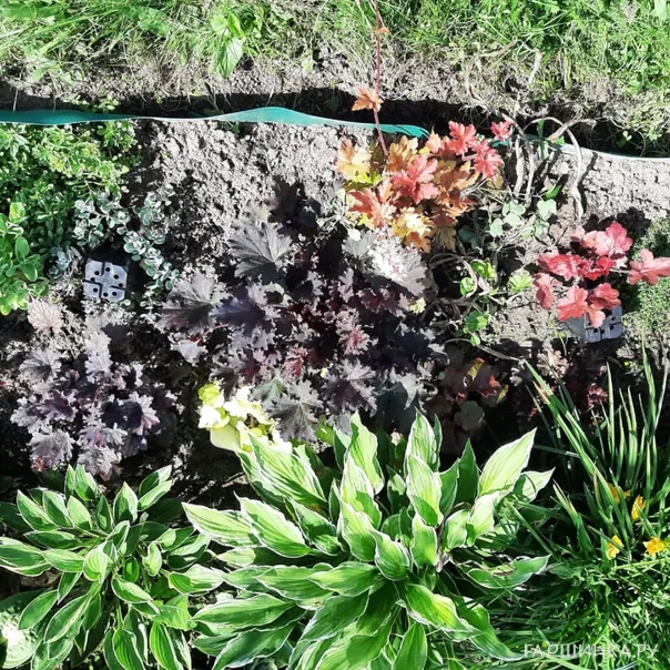 превью изображения отзыва