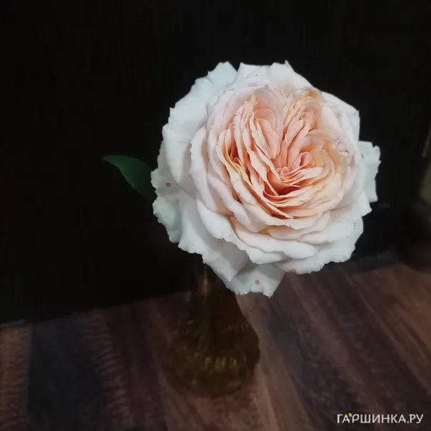 превью изображения отзыва