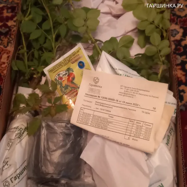 превью изображения отзыва