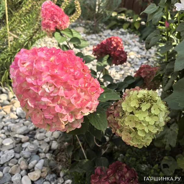 превью изображения отзыва