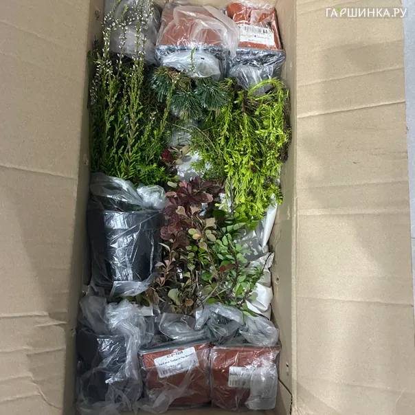 превью изображения отзыва