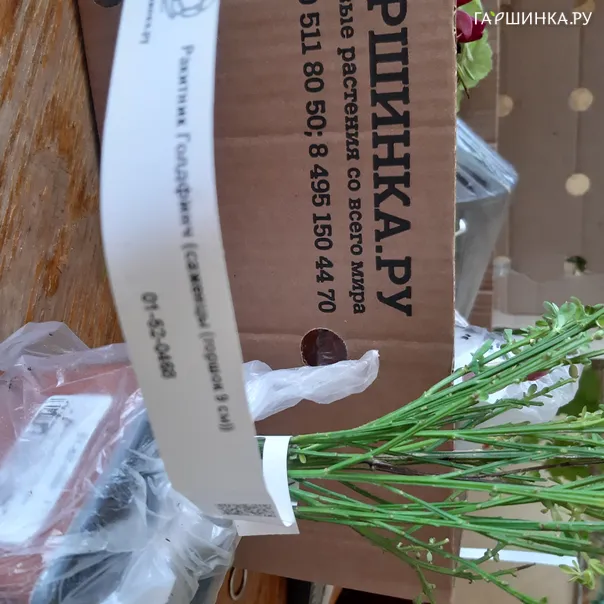 превью изображения отзыва