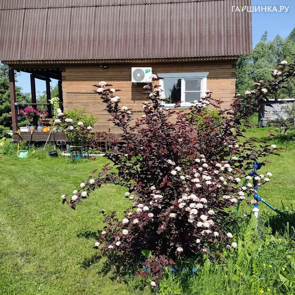 превью изображения отзыва