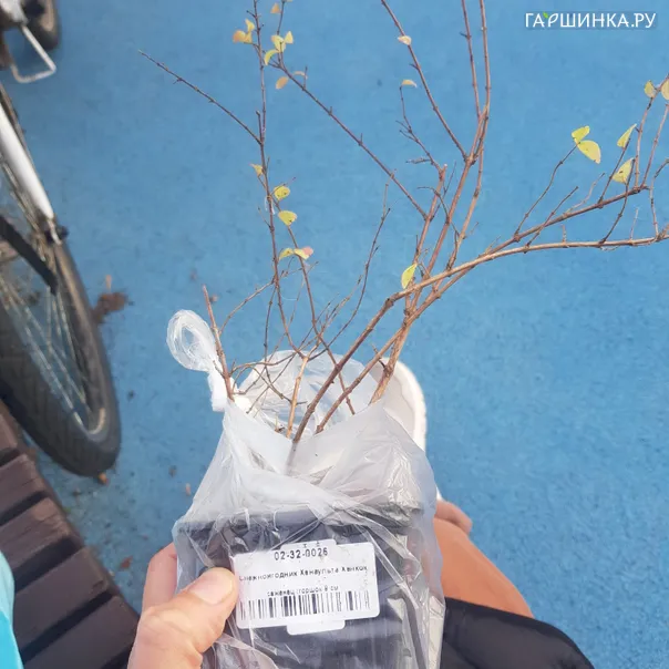 превью изображения отзыва