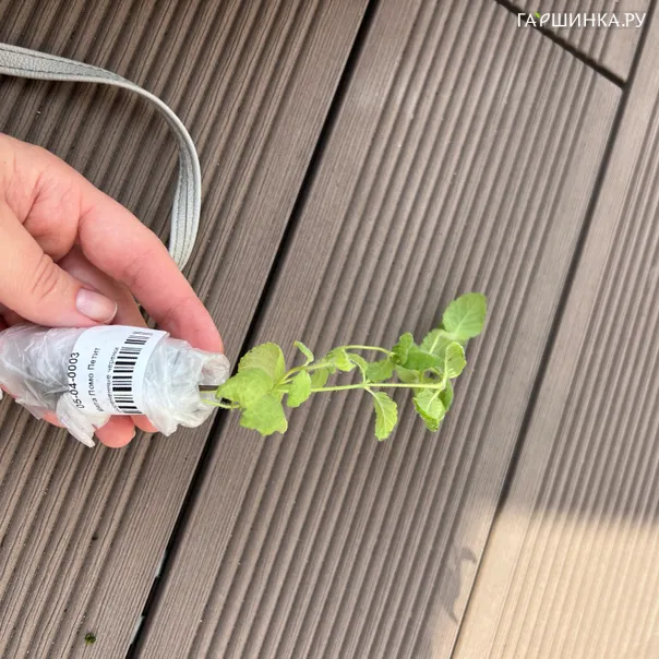 превью изображения отзыва