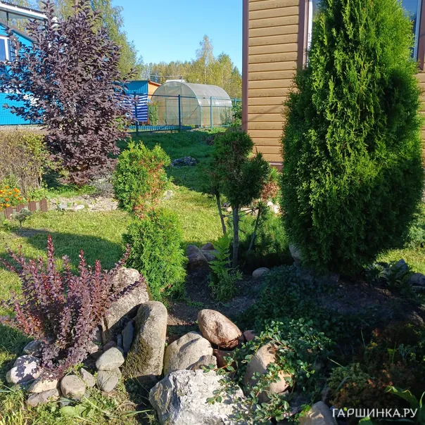 превью изображения отзыва