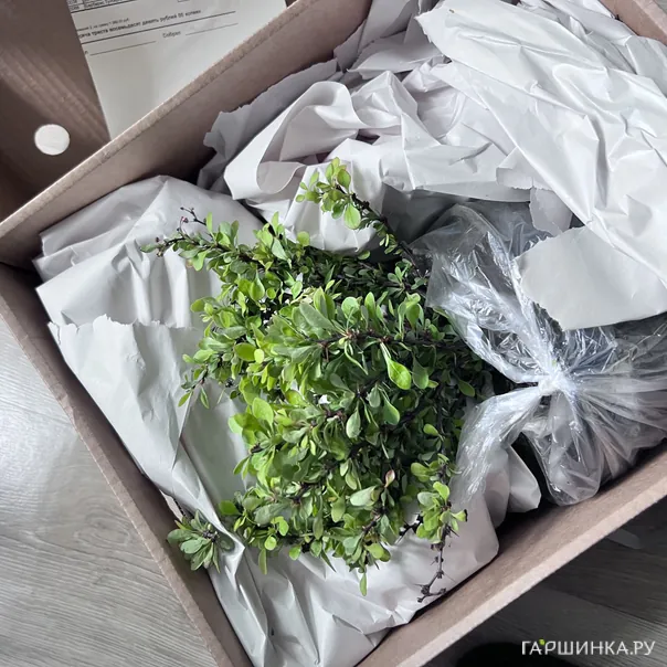 превью изображения отзыва