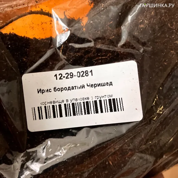 превью изображения отзыва