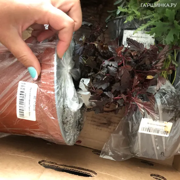 превью изображения отзыва