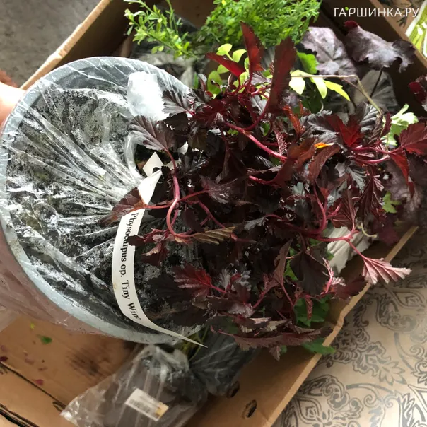 превью изображения отзыва