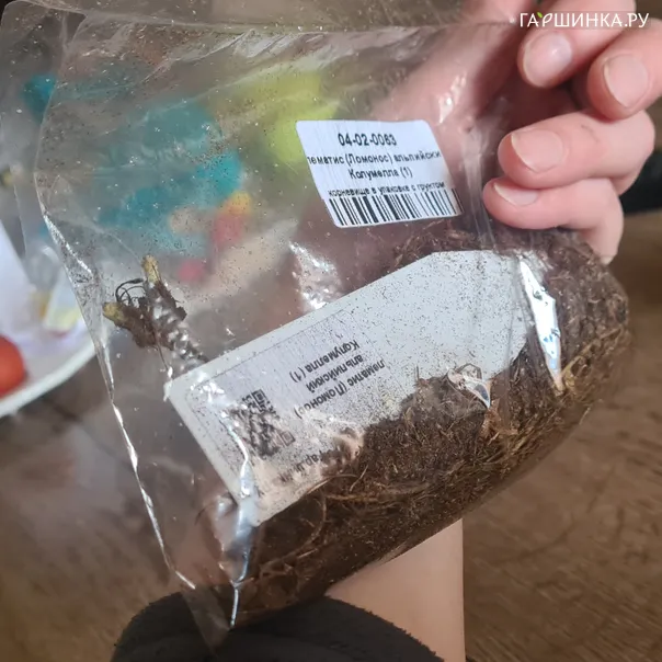 превью изображения отзыва
