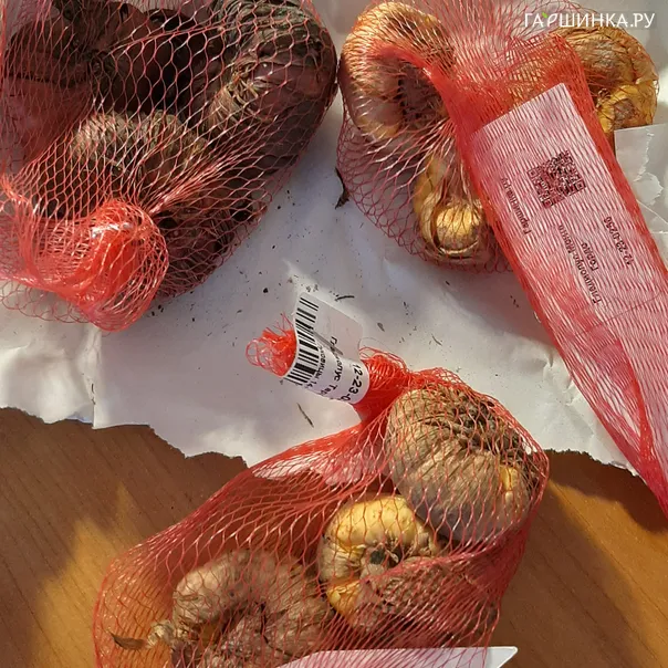 превью изображения отзыва