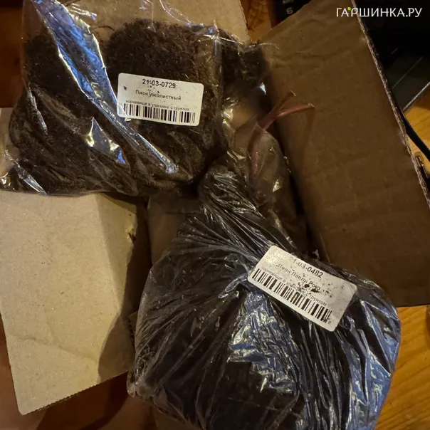 превью изображения отзыва