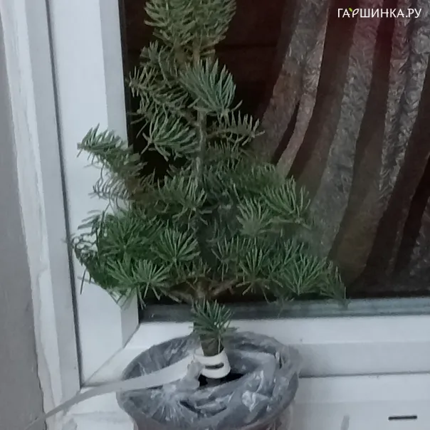 превью изображения отзыва