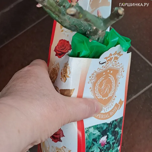 превью изображения отзыва