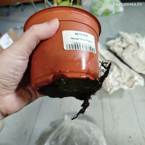превью изображения отзыва