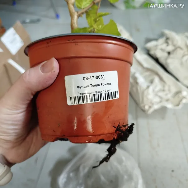 превью изображения отзыва