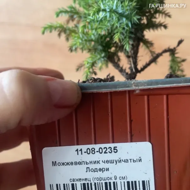 превью изображения отзыва