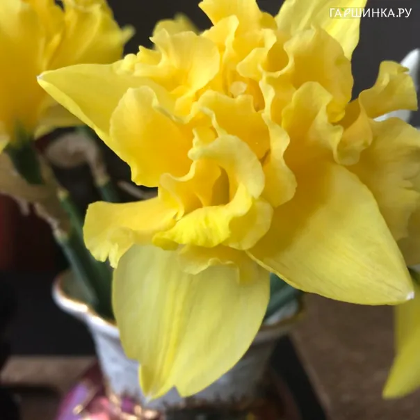 превью изображения отзыва
