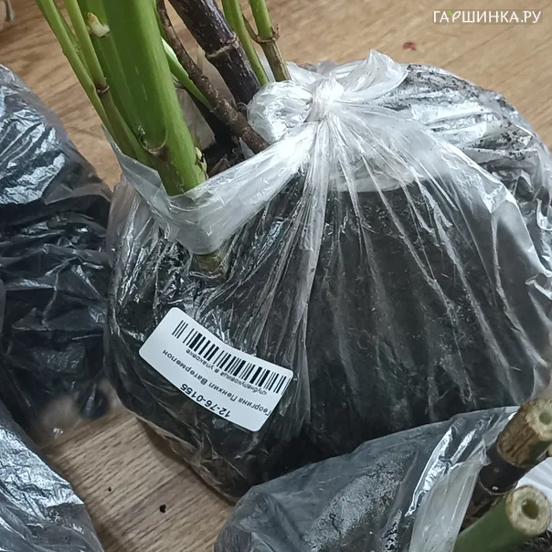 превью изображения отзыва