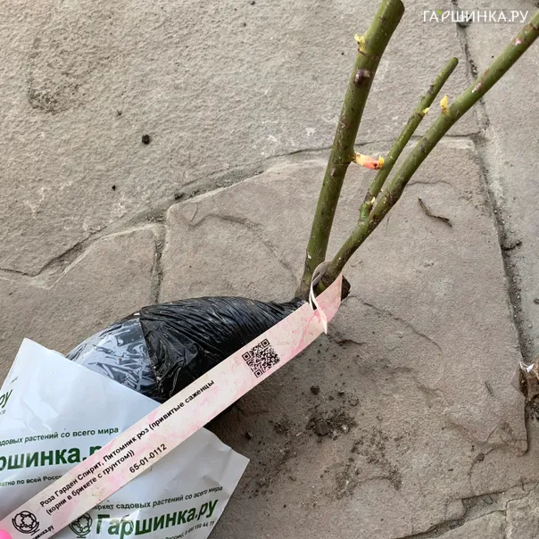 превью изображения отзыва