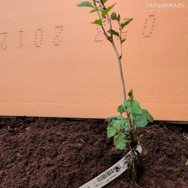 превью изображения отзыва