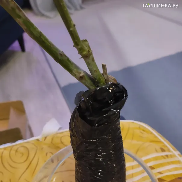 превью изображения отзыва