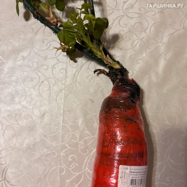 превью изображения отзыва