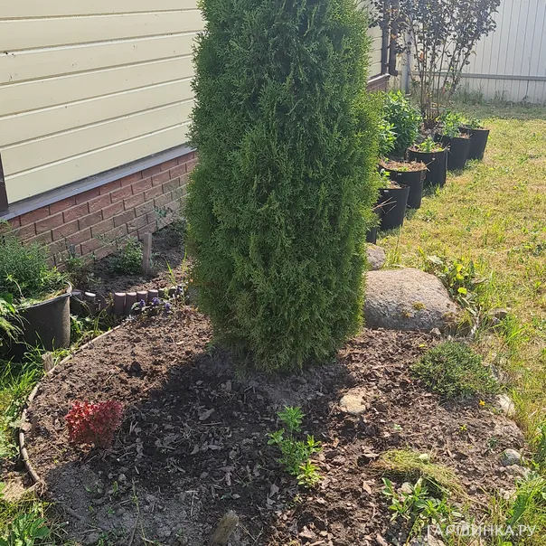 превью изображения отзыва