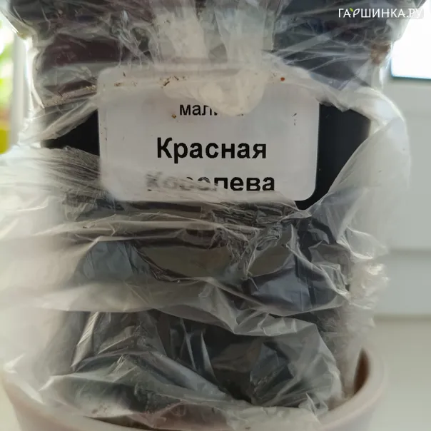 превью изображения отзыва