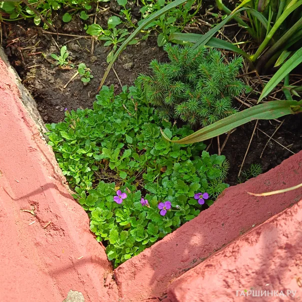 превью изображения отзыва