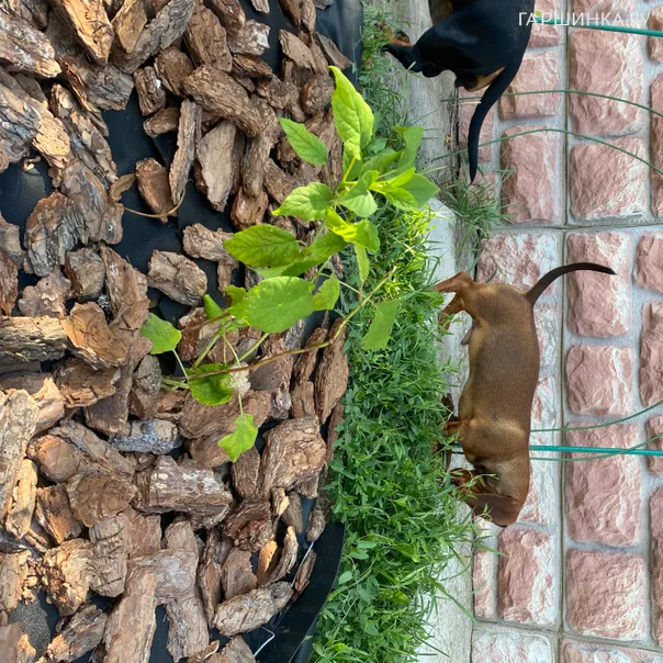 превью изображения отзыва