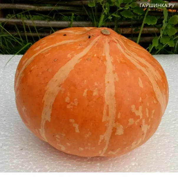 превью изображения отзыва