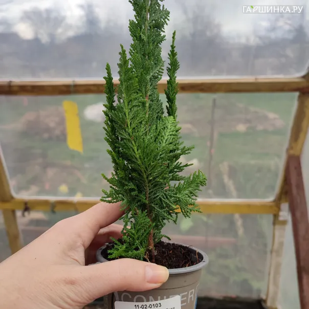 превью изображения отзыва