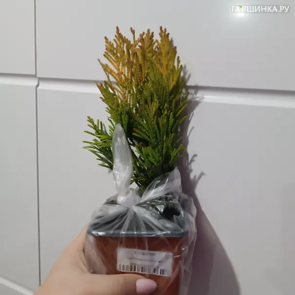 превью изображения отзыва