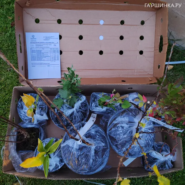 превью изображения отзыва