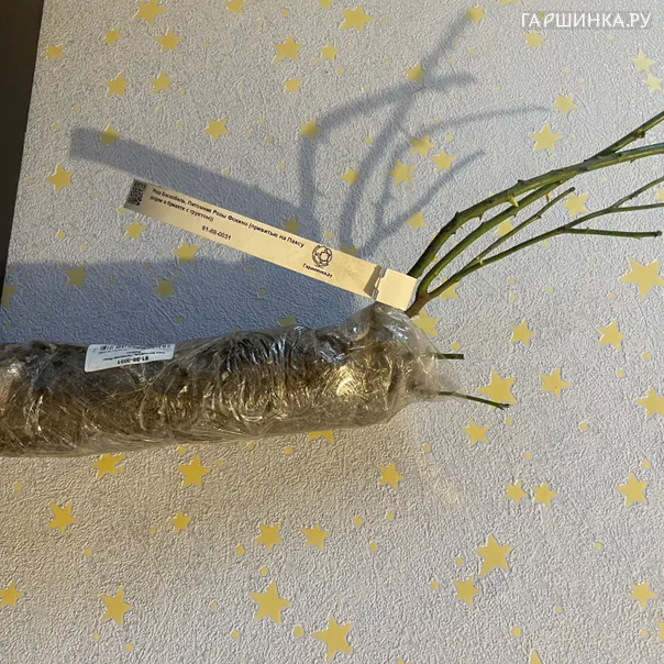 превью изображения отзыва