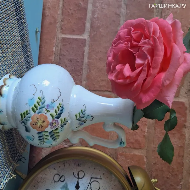 превью изображения отзыва